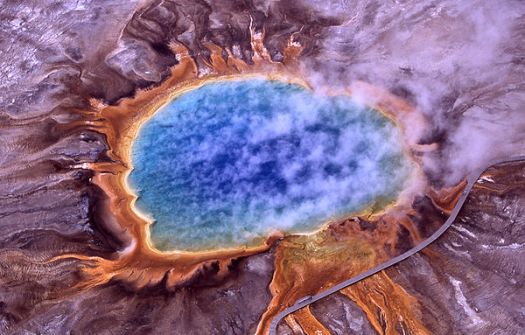 A thermophile, such those living in hot springs like this one from Yellowstone National Park, is an organism that thrives at relatively high temperatures 106 and 252 °F).